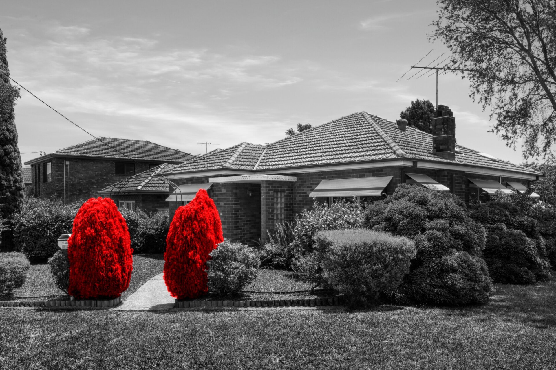 House Sold 40 Chisholm Avenue, Clemton Park